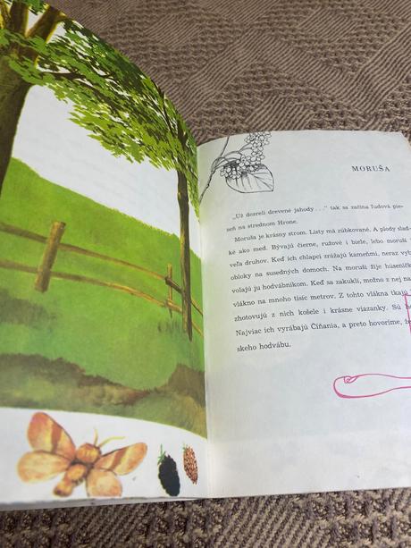 Krásna stará retro mini knižka keď pôjdeš horou,