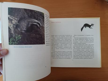 Marta šurinová - kde bývajú zvieratá (1988), 