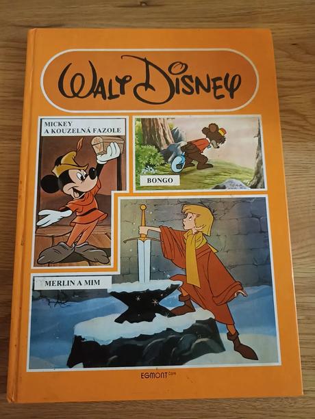 Disney kniha, 