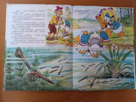 Walt disney - cesty lososov, 