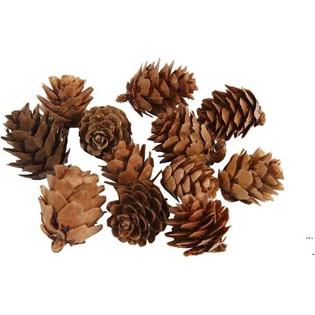 Smrekové šišky, 12 ks,