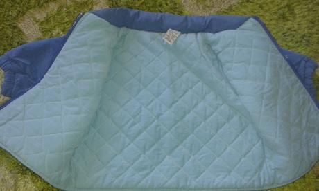 Zachovalá vetrovočka, 74