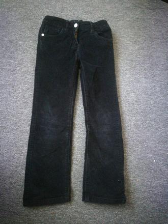 Menzestraky, palomino,116