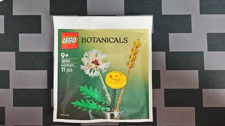 Lego polybagy, 