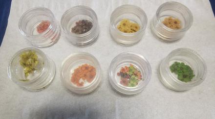 Sušené kvietky na nechty, 