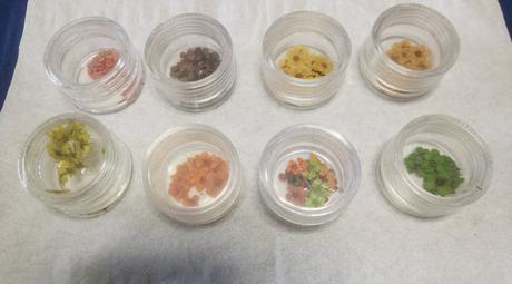 Sušené kvietky na nechty, 