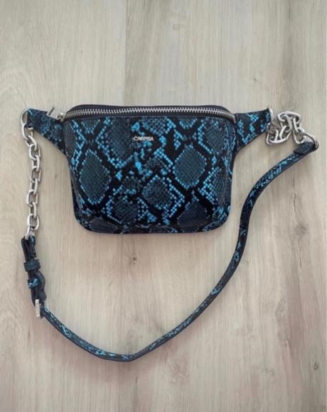 Hadia ladvinka, carpisa