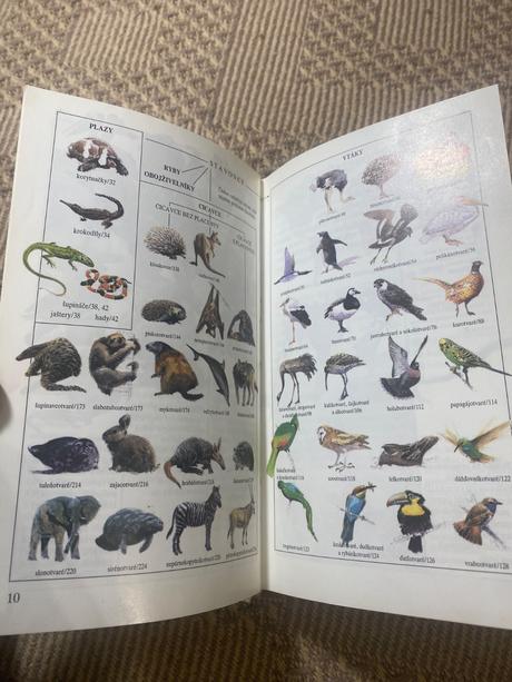 Divé zvieratá dupont philippe,