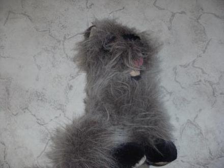 Predam plysoveho chlpateho psika,