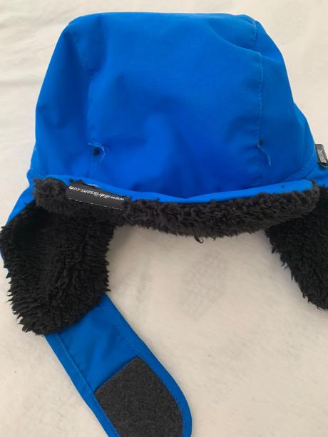 Baranica didriksons, didriksons1913,52