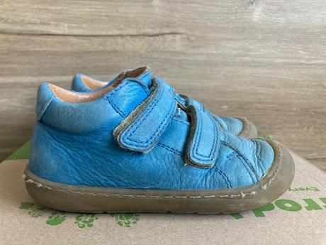 Froddo ollie, froddo,23