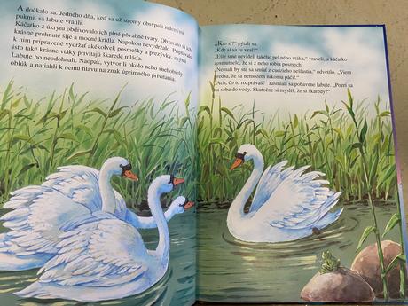 Kniha bol raz jeden kráľ, 