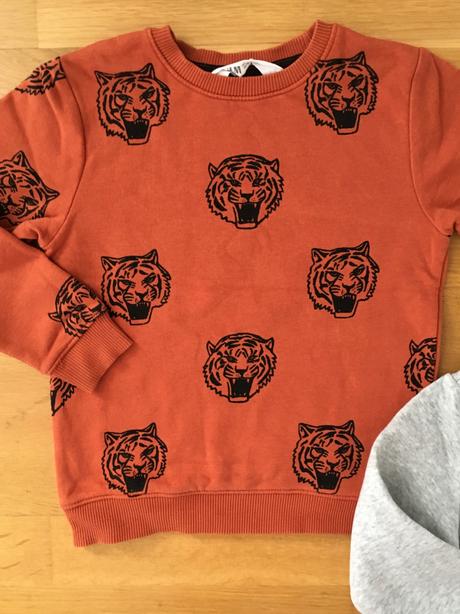 Zateplene mikiny, h&m,110