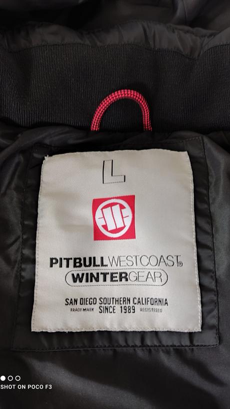 Pitbull vesta, l