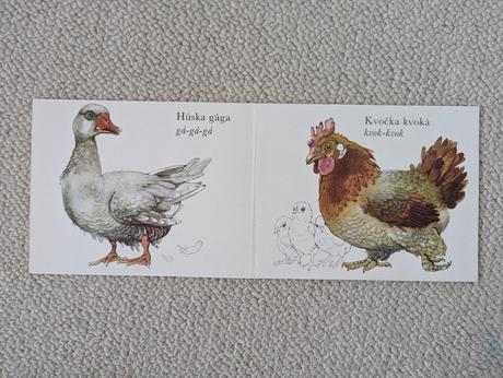 Medzi vtákmi leporelo, 