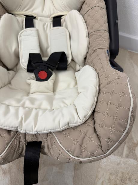 Vajíčko concord, concord