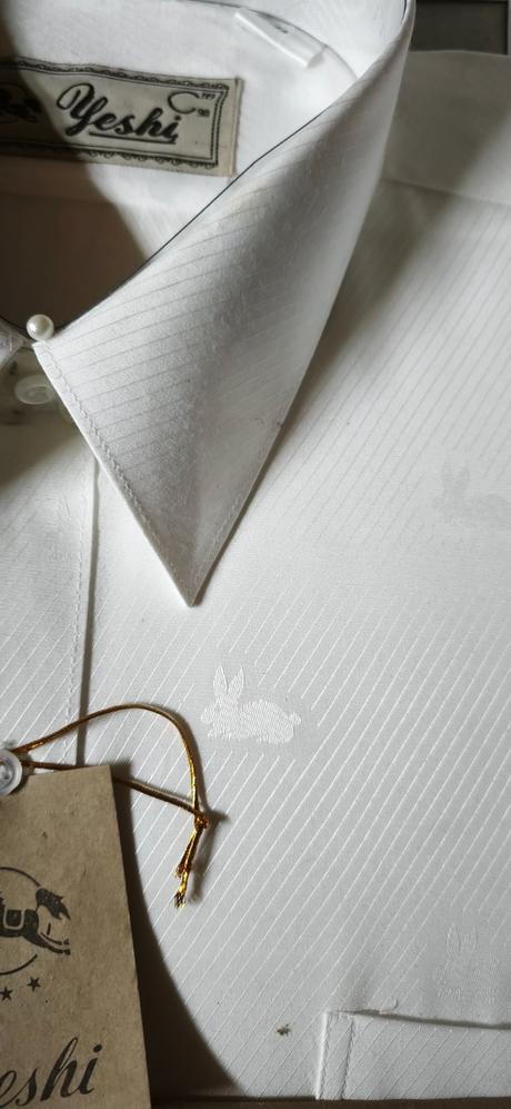 Pánska košeľa biela motív zajačik veľká noc, 42 - xxxl