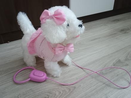 Plyšový psík na vodítku, 