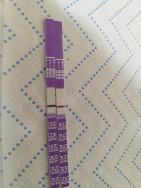 Vidíte tento jav aj vy?