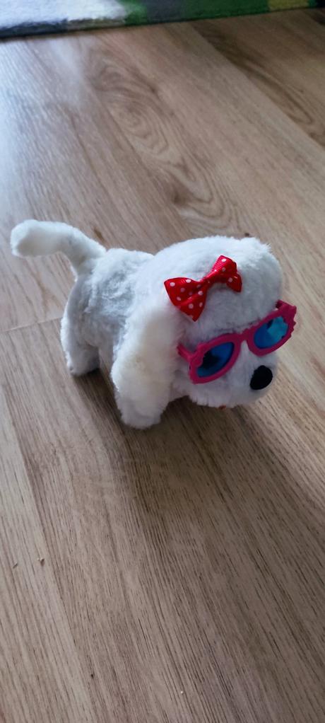 Psík- chodí, šteká, vrtí chvostíkom, 