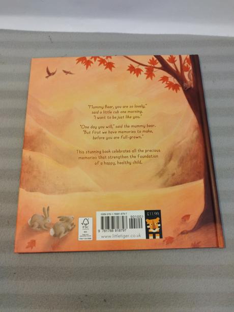 Stephanie stansbie - someday hb nsu23,