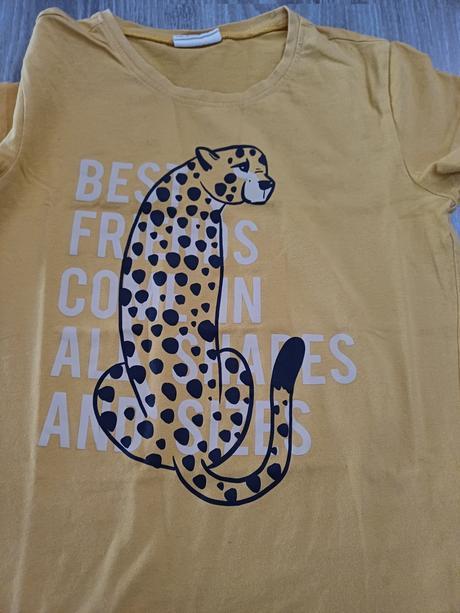 Tričko, coccodrillo,146