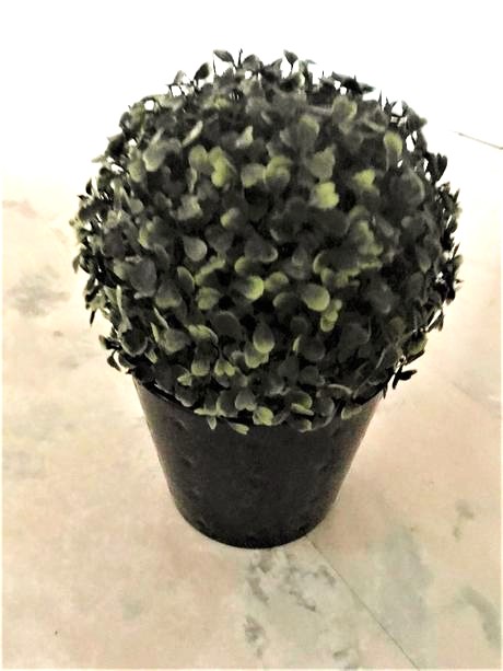 Keramický kvetináč s buxusom,