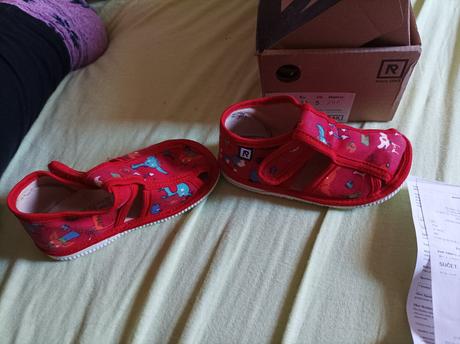 Rak papučky, rak,21