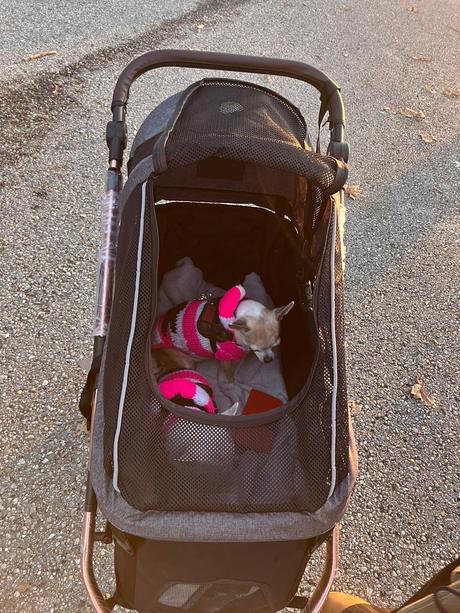 Kočík pre psa do 23kg petbuggy,