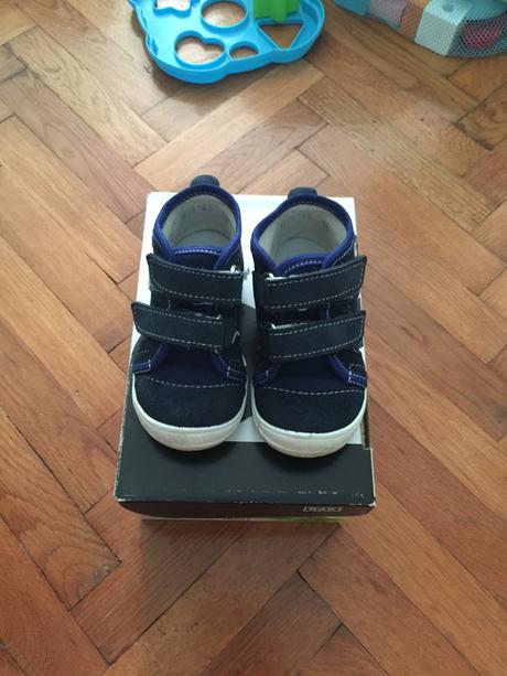 Topanocky rak, rak,19