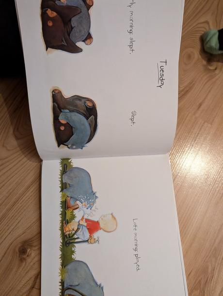 Kniha baby wombat's week,