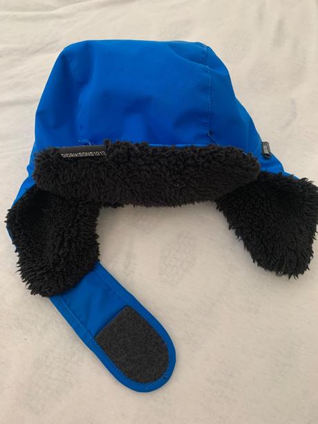 Baranica didriksons, didriksons1913,52