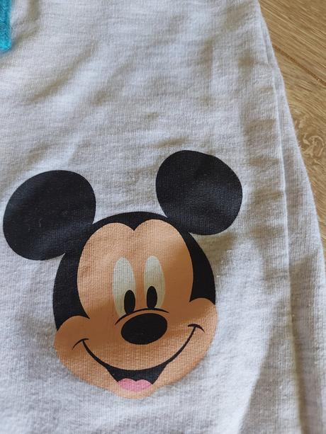 Mickey teplaciky, disney,86