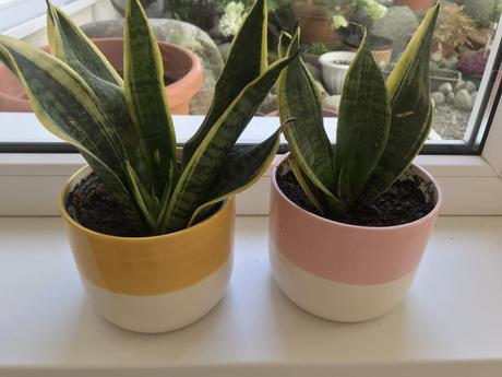 Keramické črepníky 2 ks,