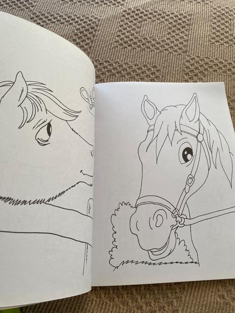 Omaľovánky kone kôň veľký formát veľké obrázky,