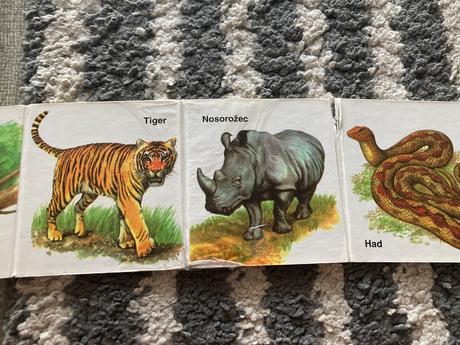 Kde bývajú zvieratká a zoo / leporelá,