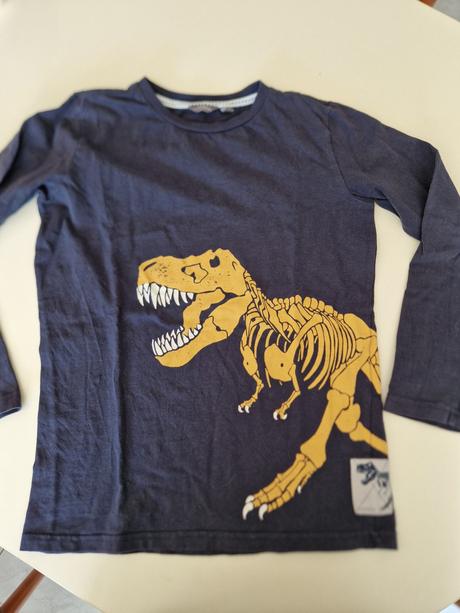 Tričko s t-rexom, 146