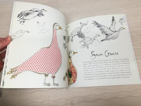 Anna wright magnificient creatures nau20, 