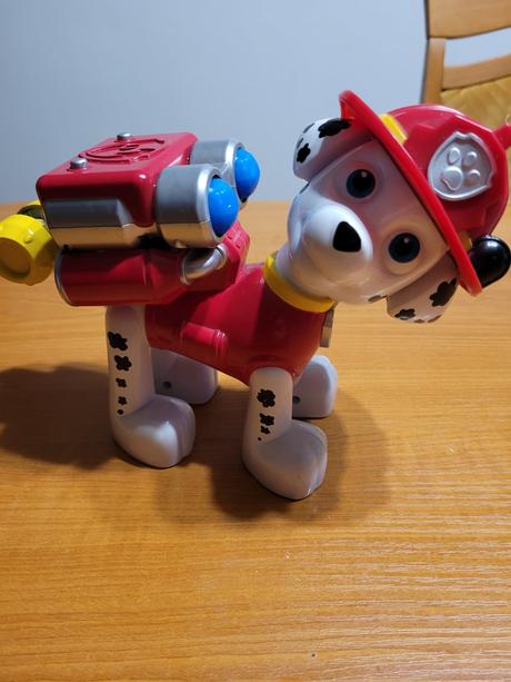 Paw patrol marshal,