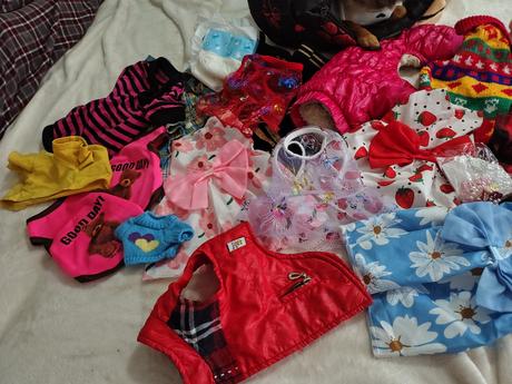 Predám vecičky pre malého psíka xs,s,m, 