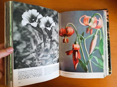 Veľky obrazový atlas rastlín (1980), 