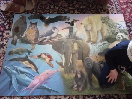 Hmatové veľké puzzle, 