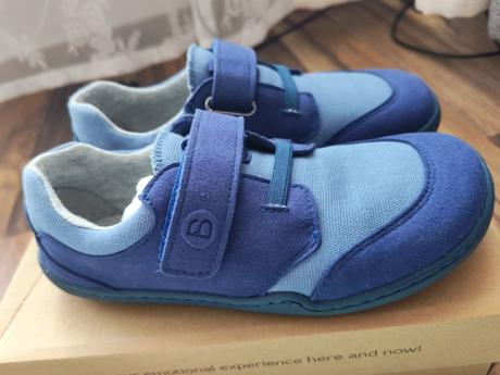 Blifestyle crocodile, 31