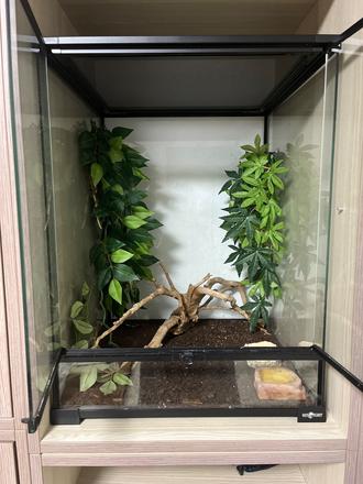 Terarium reptiplanet,