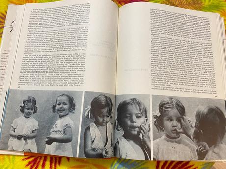 Materstvo a rodičovstvo dieťa a jeho svet jánošovo,