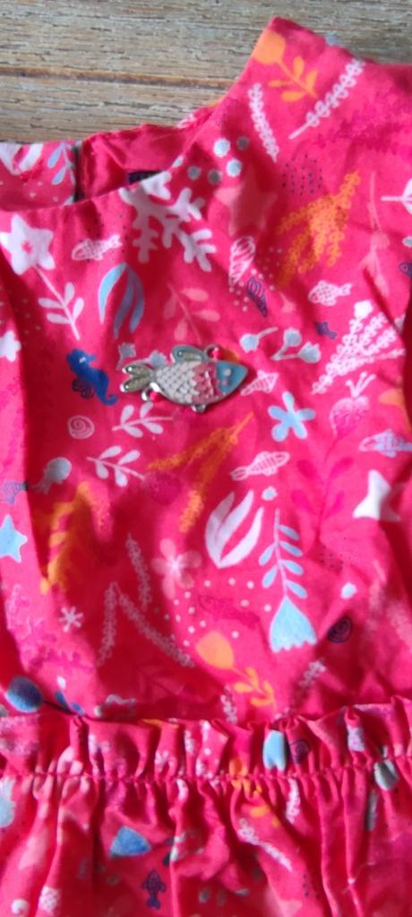 Sergent major saty, sergent major,68