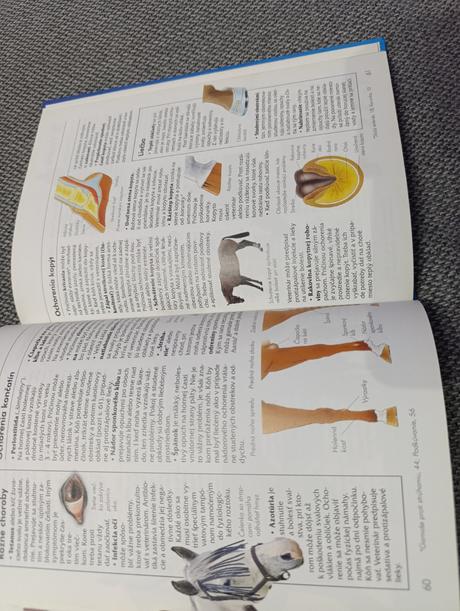 Kniha kone a poníky od a po z, 