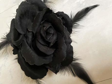 Zaujímavá brošňa, 