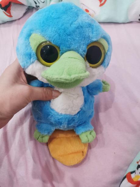 Plyšový vtákopysk, 