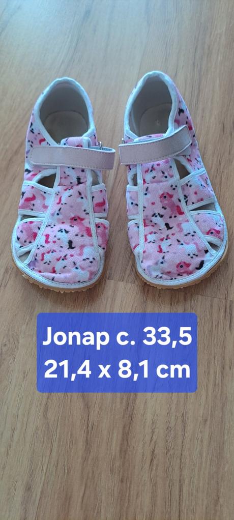 Jonap c. 33,5, jonap,33